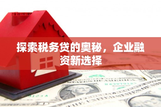 沙鹿探索税务贷的奥秘，企业融资新选择