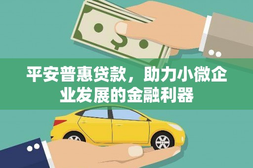 沙鹿平安普惠贷款，助力小微企业发展的金融利器