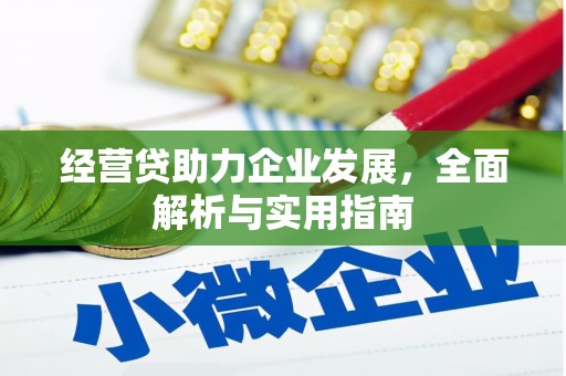 沙鹿经营贷助力企业发展，全面解析与实用指南