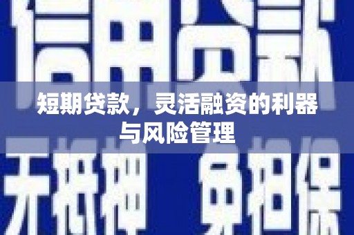 沙鹿短期贷款，灵活融资的利器与风险管理