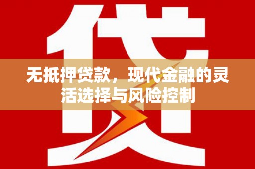 沙鹿无抵押贷款，现代金融的灵活选择与风险控制