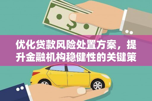 沙鹿优化贷款风险处置方案，提升金融机构稳健性的关键策略
