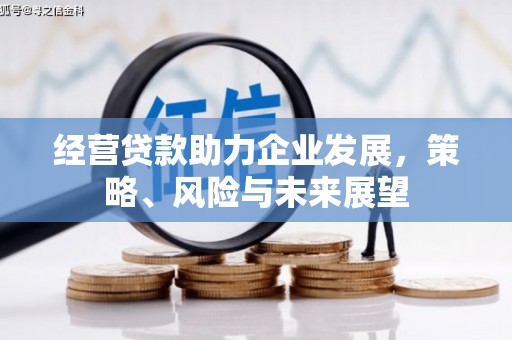 沙鹿经营贷款助力企业发展，策略、风险与未来展望