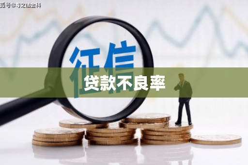 沙鹿贷款不良率