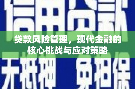 沙鹿贷款风险管理，现代金融的核心挑战与应对策略