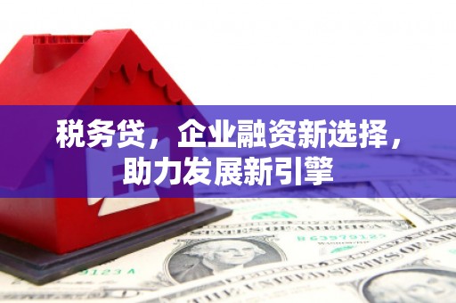 沙鹿税务贷，企业融资新选择，助力发展新引擎