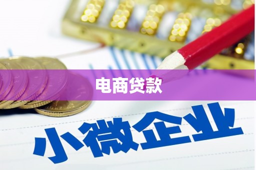 沙鹿电商贷款