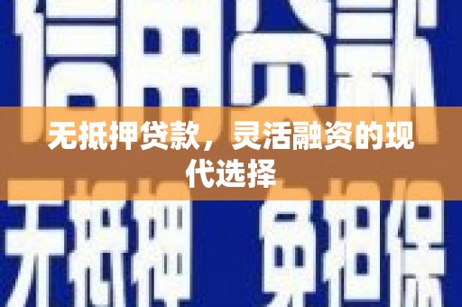 沙鹿无抵押贷款，灵活融资的现代选择