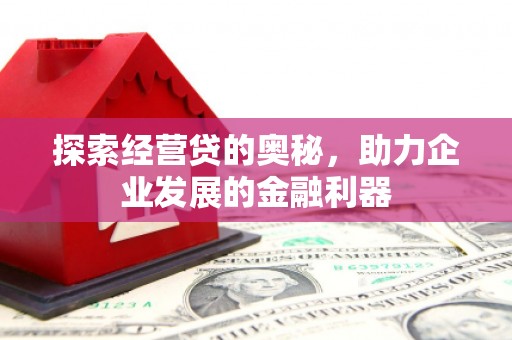 沙鹿探索经营贷的奥秘，助力企业发展的金融利器
