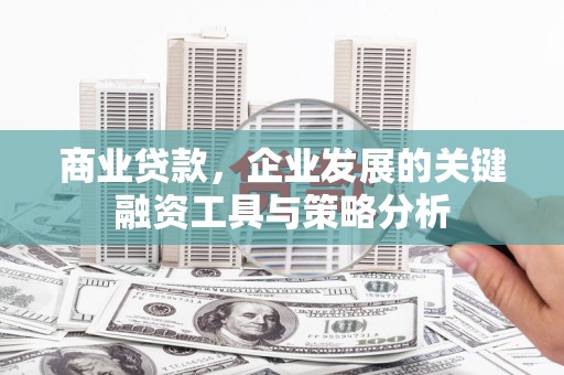 沙鹿商业贷款，企业发展的关键融资工具与策略分析