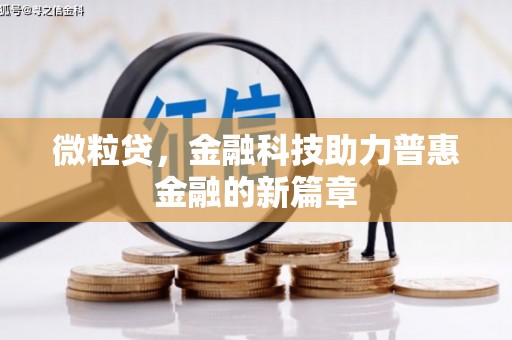 沙鹿微粒贷，金融科技助力普惠金融的新篇章