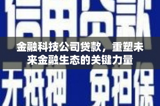 沙鹿金融科技公司贷款，重塑未来金融生态的关键力量