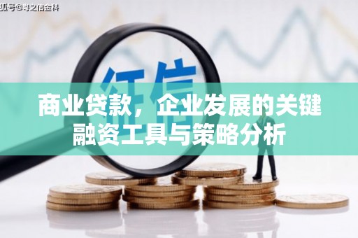 沙鹿商业贷款，企业发展的关键融资工具与策略分析