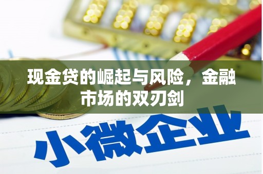 沙鹿现金贷的崛起与风险，金融市场的双刃剑