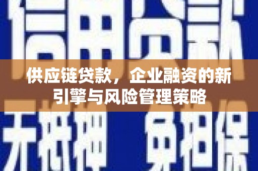 沙鹿供应链贷款，企业融资的新引擎与风险管理策略