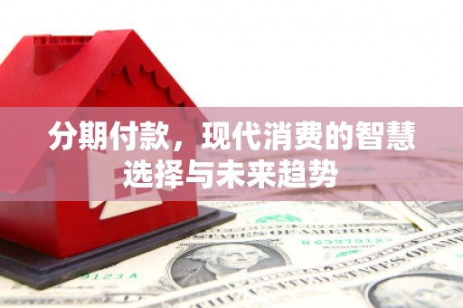 沙鹿分期付款，现代消费的智慧选择与未来趋势