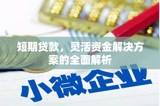 沙鹿短期贷款，灵活资金解决方案的全面解析