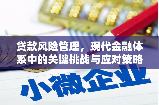 沙鹿贷款风险管理，现代金融体系中的关键挑战与应对策略