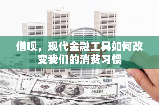 沙鹿借呗，现代金融工具如何改变我们的消费习惯