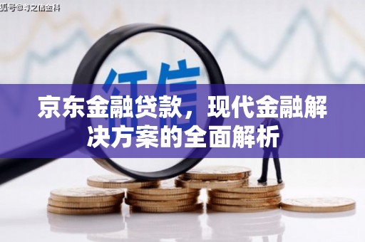 沙鹿京东金融贷款，现代金融解决方案的全面解析
