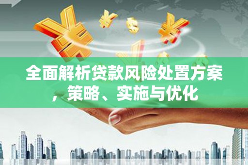 沙鹿全面解析贷款风险处置方案，策略、实施与优化