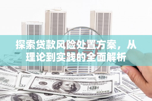 沙鹿探索贷款风险处置方案，从理论到实践的全面解析