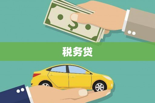 沙鹿税务贷