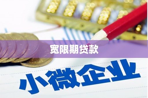 沙鹿宽限期贷款