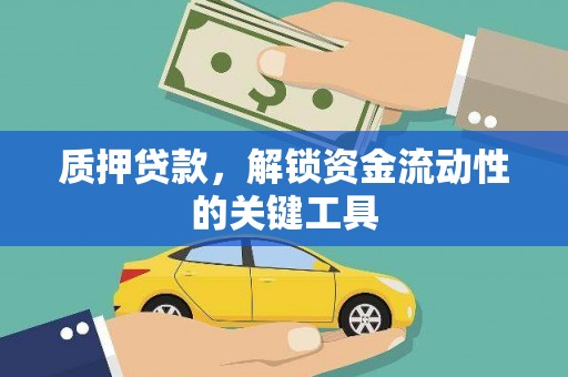 沙鹿质押贷款，解锁资金流动性的关键工具
