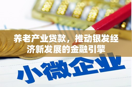 沙鹿养老产业贷款，推动银发经济新发展的金融引擎