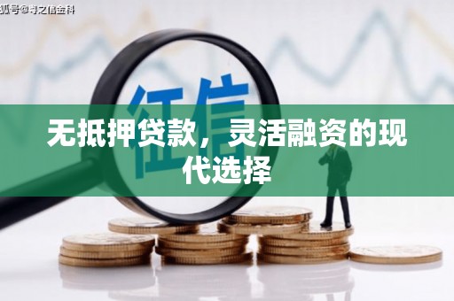 沙鹿无抵押贷款，灵活融资的现代选择