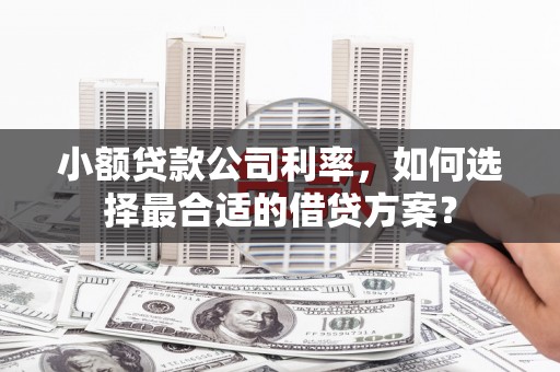 沙鹿小额贷款公司利率，如何选择最合适的借贷方案？