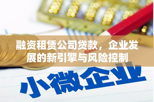 沙鹿融资租赁公司贷款，企业发展的新引擎与风险控制