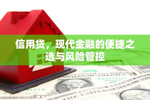 沙鹿信用贷，现代金融的便捷之选与风险管控