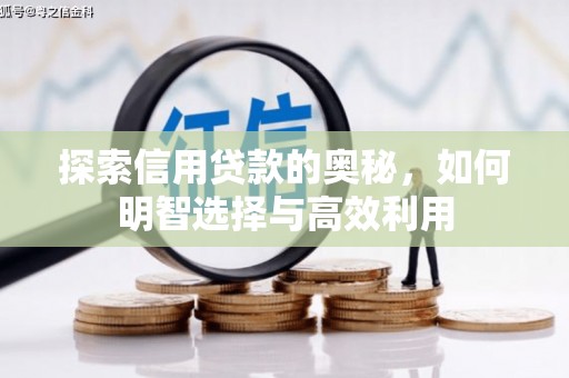沙鹿探索信用贷款的奥秘，如何明智选择与高效利用