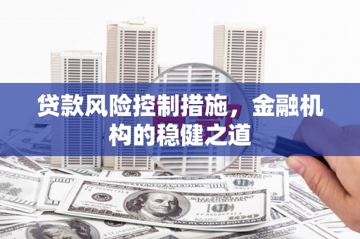 沙鹿贷款风险控制措施，金融机构的稳健之道