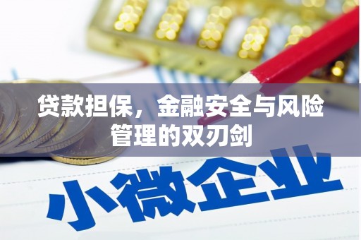 沙鹿贷款担保，金融安全与风险管理的双刃剑