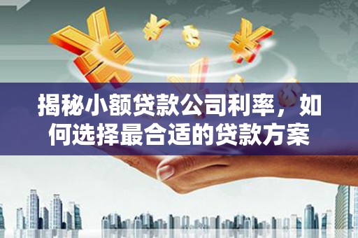 沙鹿揭秘小额贷款公司利率，如何选择最合适的贷款方案