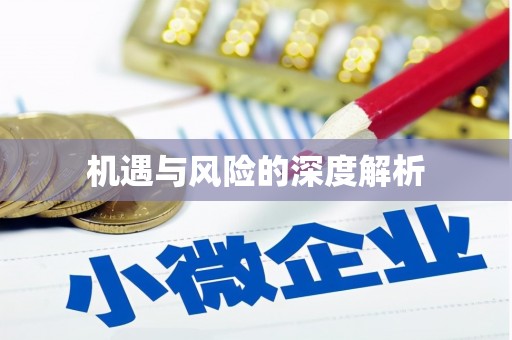 沙鹿机遇与风险的深度解析