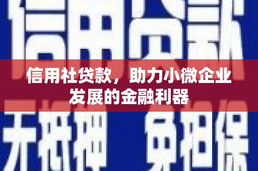 沙鹿信用社贷款，助力小微企业发展的金融利器