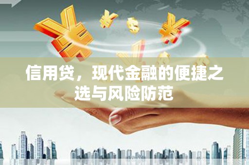 沙鹿信用贷，现代金融的便捷之选与风险防范