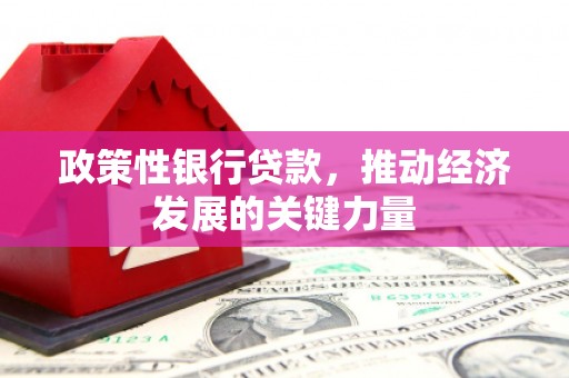 沙鹿政策性银行贷款，推动经济发展的关键力量