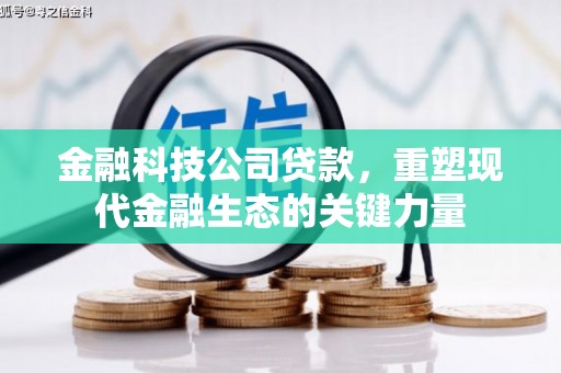 沙鹿金融科技公司贷款，重塑现代金融生态的关键力量