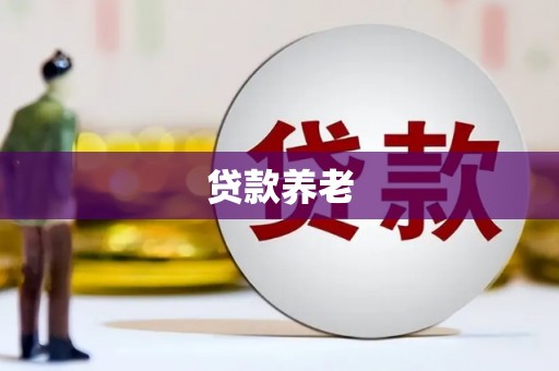 沙鹿贷款养老