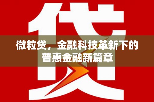 沙鹿微粒贷，金融科技革新下的普惠金融新篇章