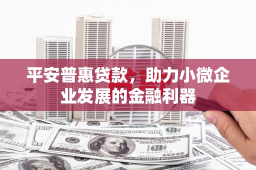 沙鹿平安普惠贷款，助力小微企业发展的金融利器
