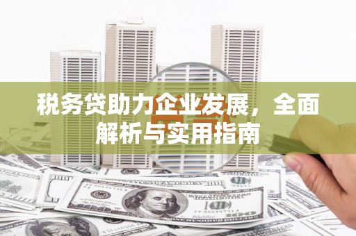 沙鹿税务贷助力企业发展，全面解析与实用指南