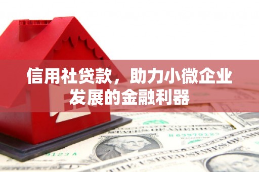 沙鹿信用社贷款，助力小微企业发展的金融利器