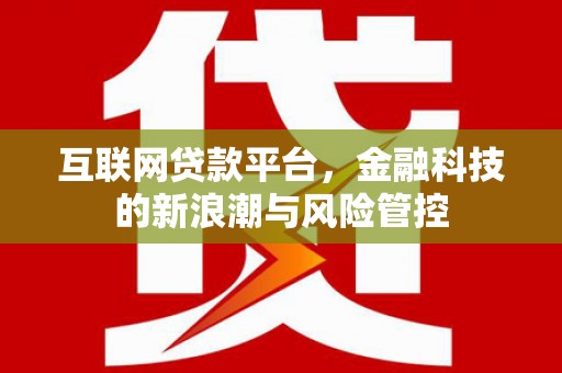 沙鹿互联网贷款平台，金融科技的新浪潮与风险管控