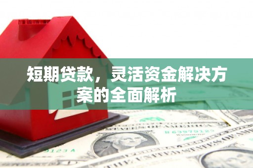 沙鹿短期贷款，灵活资金解决方案的全面解析
